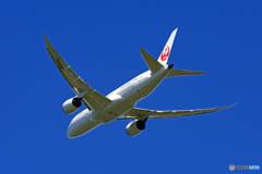 飛び立ち JAL 787-8 JA844J