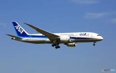 着陸 ANA 787-8 JA829A