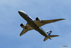 「はれ」 ANA 787-8 JA808A 飛び立ち  「はれ」 ANA 787-8 JA808A 飛び立ち