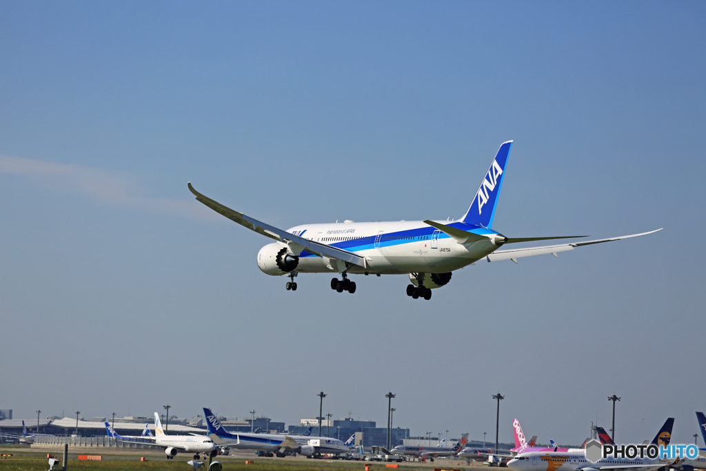 着陸 ANA 787-9 JA875A