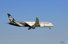 「そらー」  Air NZ'  787-9 ZK-NZH 着陸 