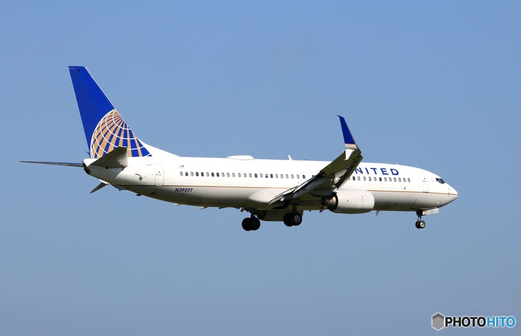 UNITED 737-800 ｼﾐﾀｰﾙｳｲﾝｸﾞﾚｯﾄ 着陸 