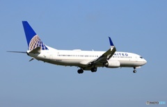 UNITED 737-800 ｼﾐﾀｰﾙｳｲﾝｸﾞﾚｯﾄ 着陸 