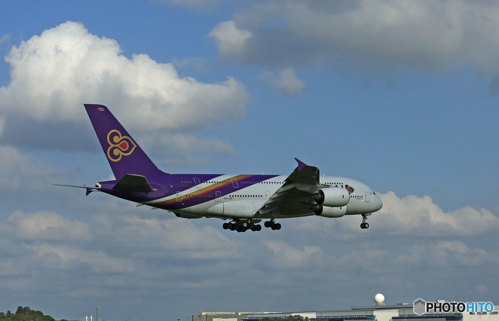 到着 THAI A380-8641 HS-TUF
