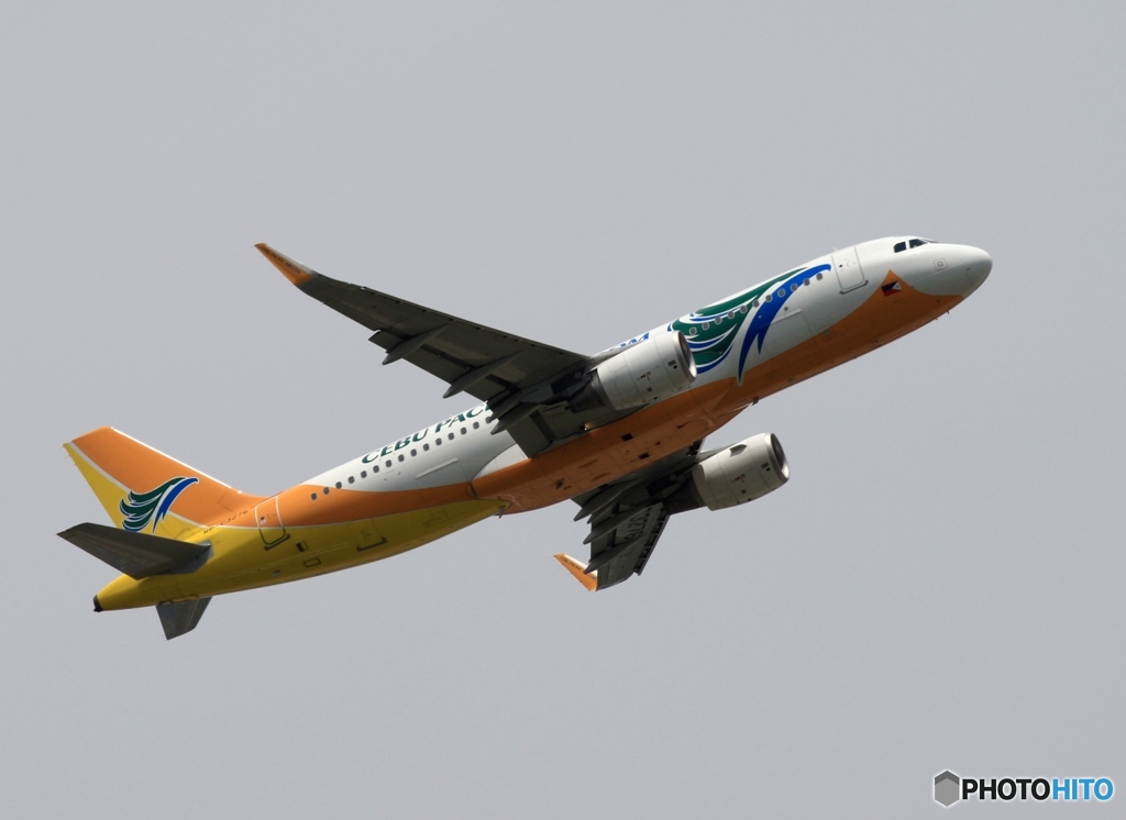 離陸　CEBU A320-200