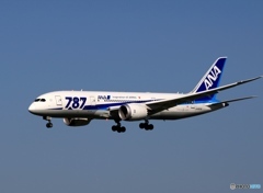 ANA 787-8 到着　