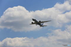 「ぶるー」 ANA 787-8 JA805A 飛び立ち 