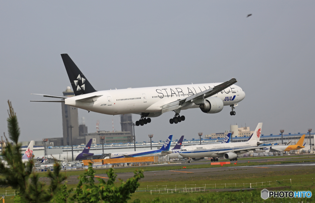到着 ANA Star 777-381 JA731A