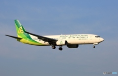 到着　春秋737-800 