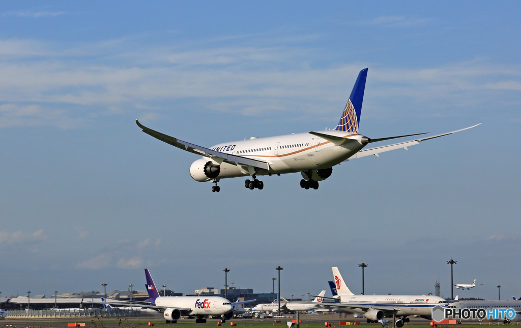 [青空] UNITED 787-9 N36962