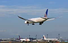 [青空] UNITED 787-9 N36962