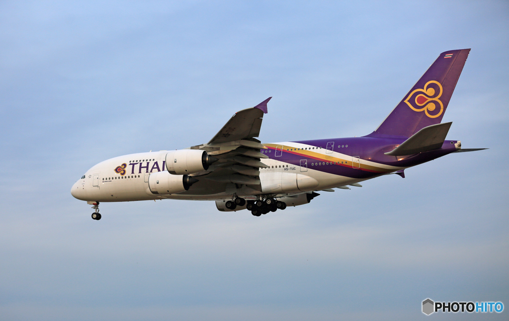 到着 THAI A340-841 HS-TUC