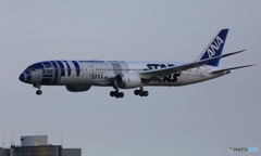 ANA 787-9 JA893A 到着　