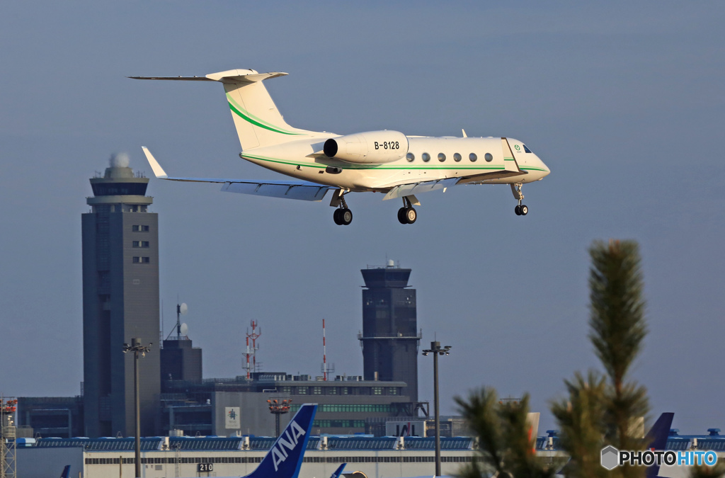 個人所有:Gulfstream Aerospace G450 B-8128