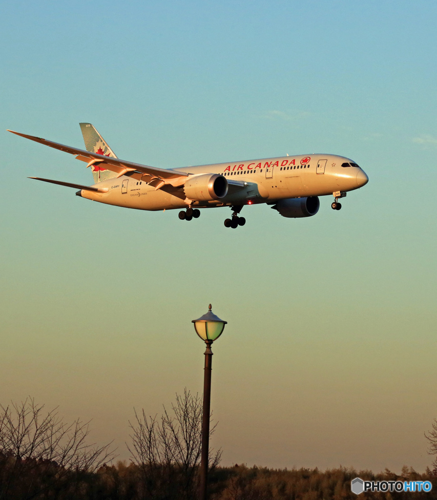 着陸 AIR CANADA 787-8 C-GHPY