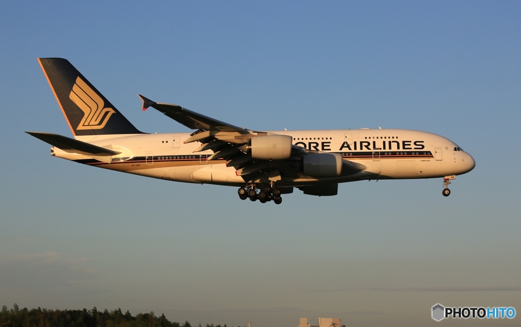Singapore A380-841 到着　