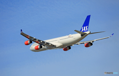 「すかい」 SAS A340-313 OY-KBI離陸