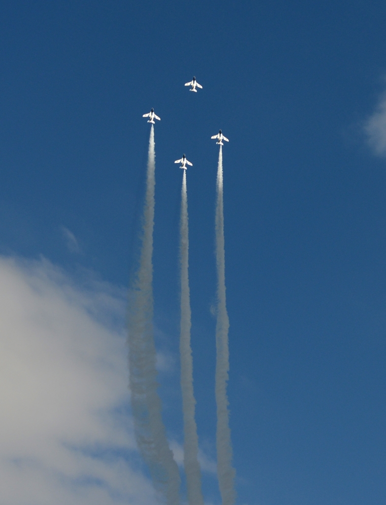 入間航空祭（13）