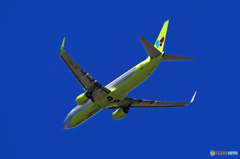 「青空」 JIN AIR 737-8B5 N7562 Takeoff  「青空」 JIN AIR 737-8B5 N7562 Takeoff