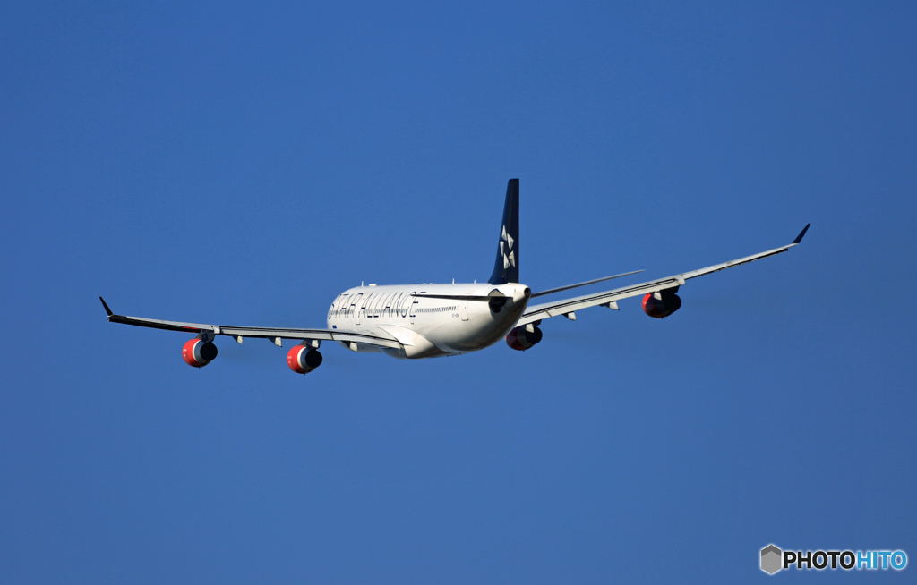 SAS A340-313 OY-KBM 離陸　