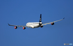 SAS A340-313 OY-KBM 離陸　