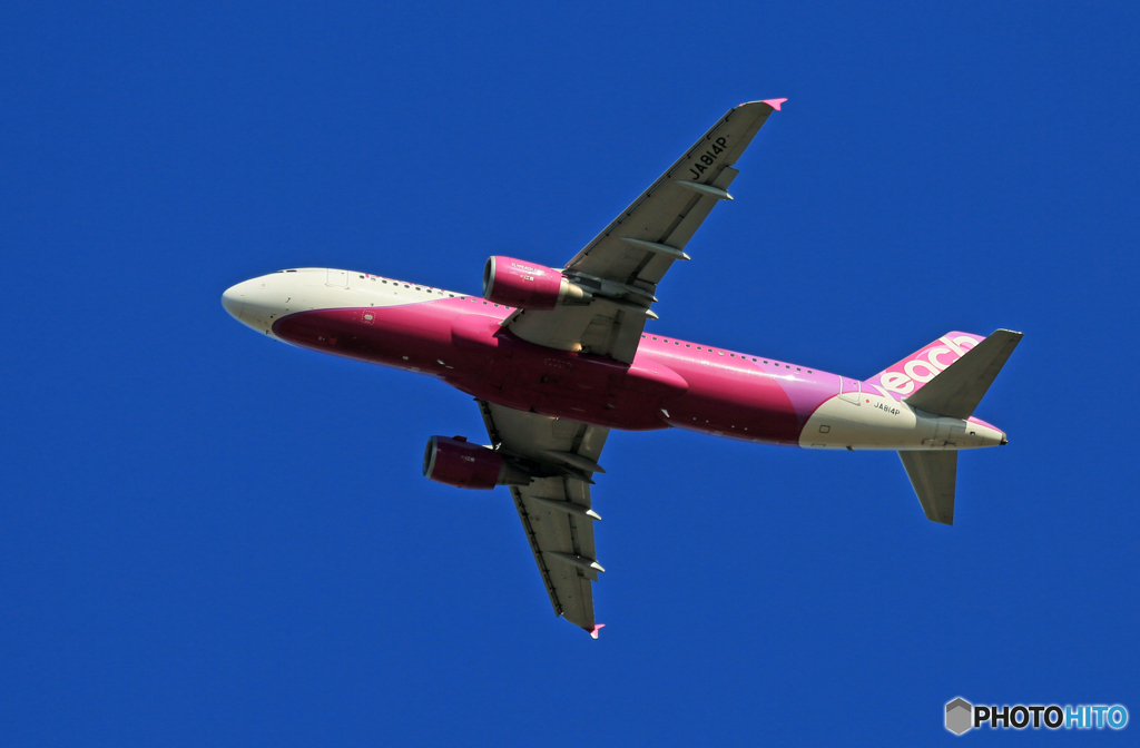 「ぶるー」 peach A320-214 JA814P☀
