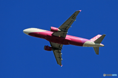「ぶるー」 peach A320-214 JA814P☀