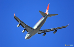 ☀Cargolux 747-400F LX-YCVジャンボ保存委員会☀