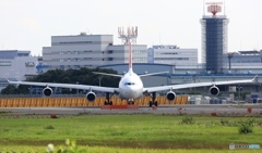 SWISS A330-313 出発　