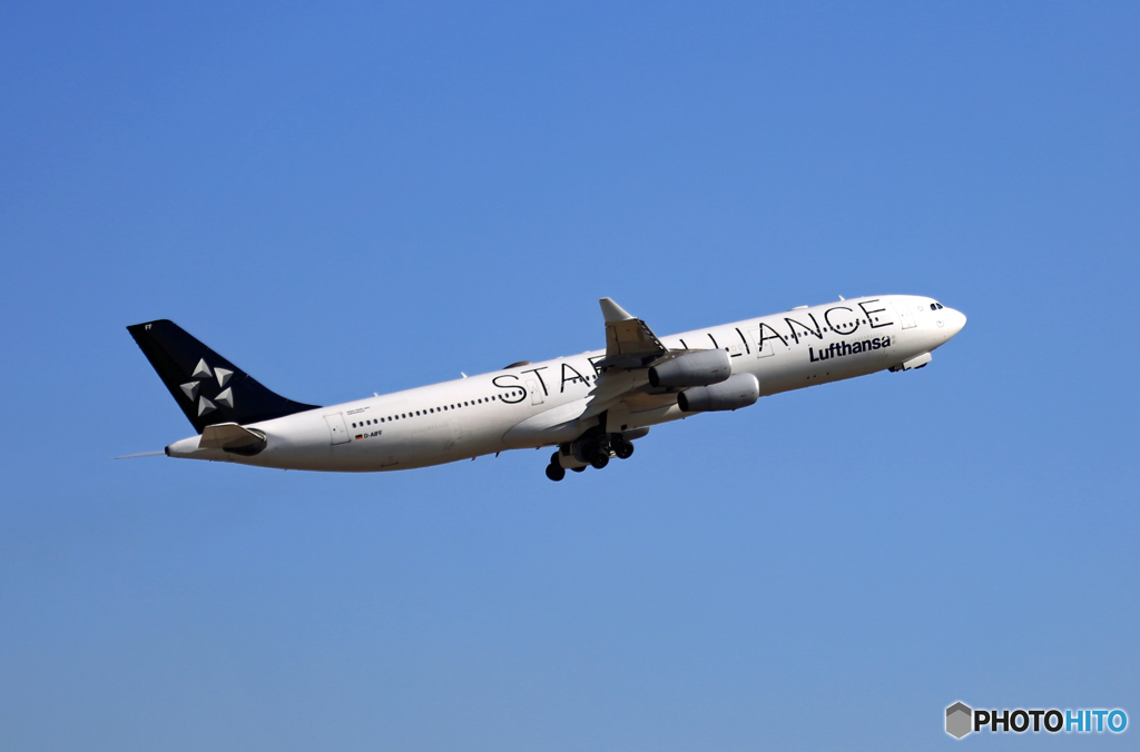 Lufthansa A340-300 D-AIFF 飛び立ち　