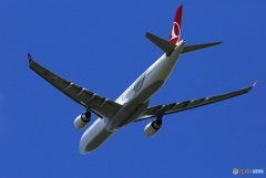 離陸 TURKISH A330-303