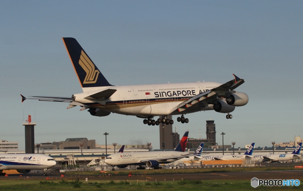 SINGAPORE A380-841 着陸　