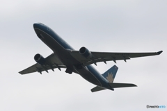 Vietnam A330-223  離陸