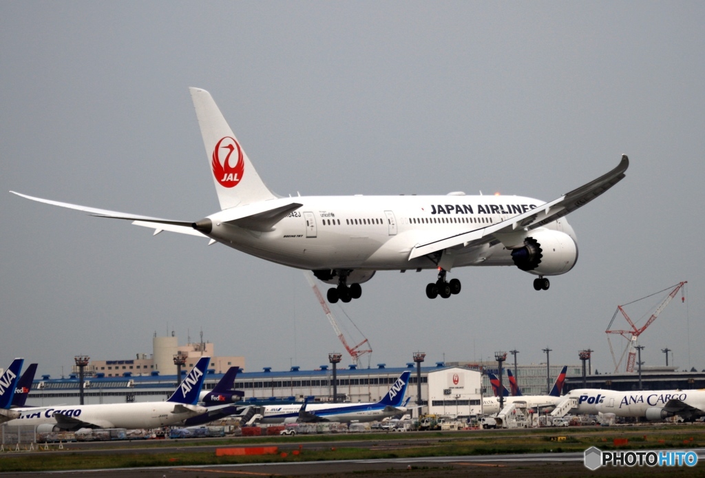 JAL 787-8 着陸　	