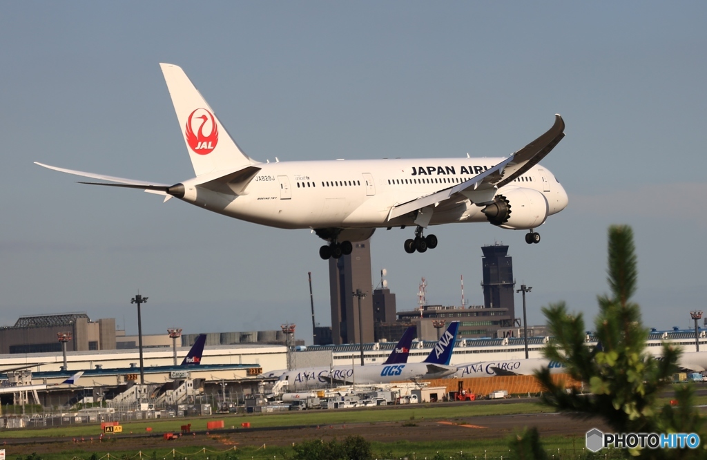着陸　JAL 787-8