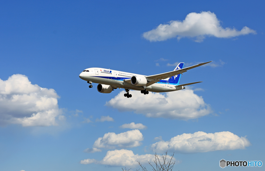 着陸 ANA 787-8 JA835A