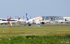 到着 STAR WARS 777-381 JA789A