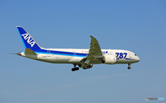 着陸 ANA 787-8 JA813A