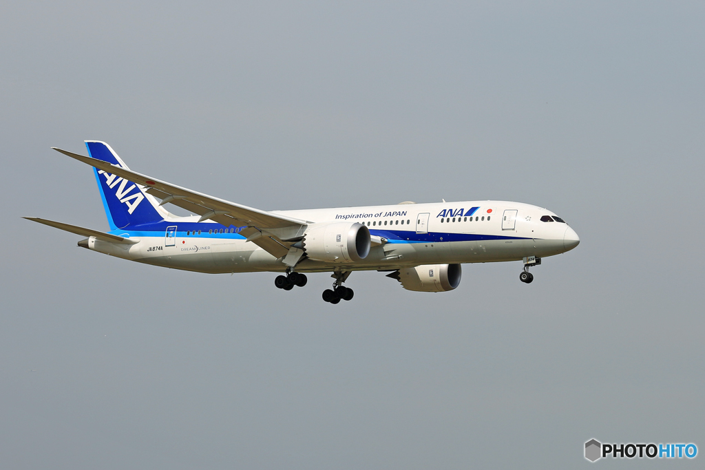 「☁雲なし」 ANA 787-8 JA874A Landing