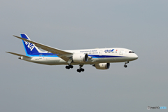 「☁雲なし」 ANA 787-8 JA874A Landing 「☁雲なし」 ANA 787-8 JA874A Landing