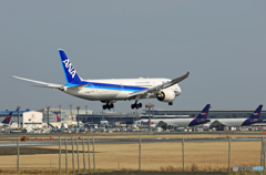 「すかい」 ANA 787-9 JA880A 着陸 「すかい」 ANA 787-9 JA880A 着陸