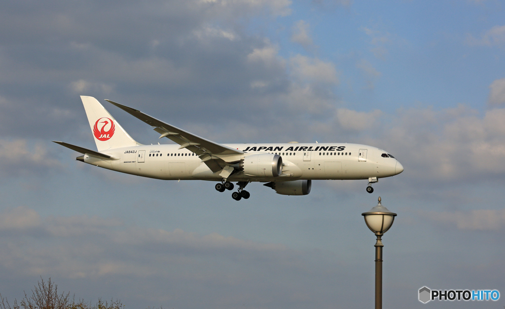 着陸 JAL 787-8 JA842J