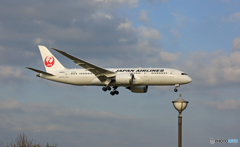 着陸 JAL 787-8 JA842J