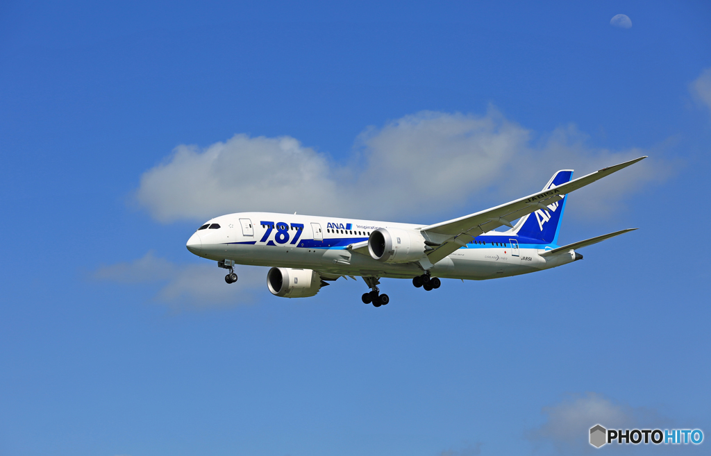 [青空] ANA 787-8 JA815A