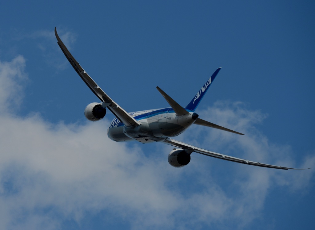 ANA 787-8 離陸