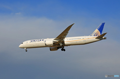 「空色」　United 787-9 N97258