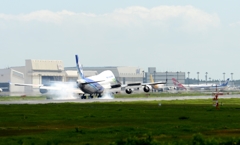 着陸（4-4）Nippon Cargo Airlines 747-481F[d]