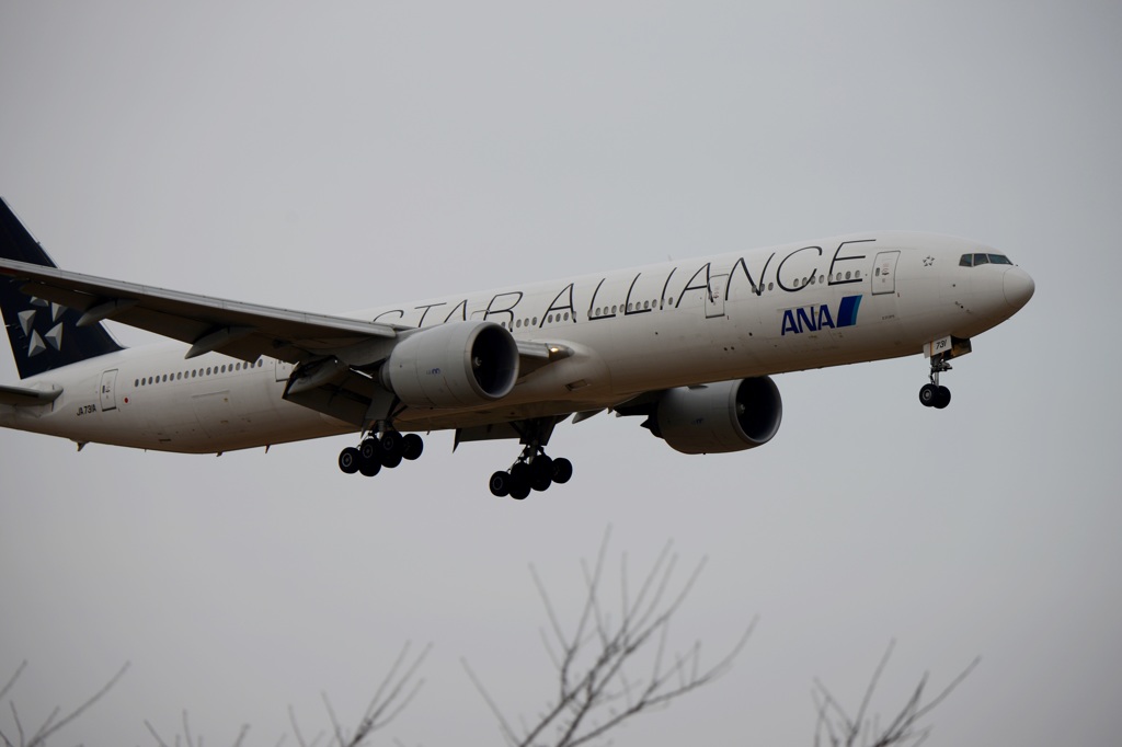 ANA STAR ALLIANCE 777-300 着陸