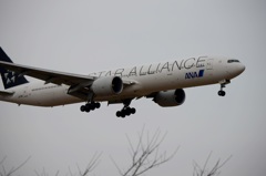 ANA STAR ALLIANCE 777-300 着陸