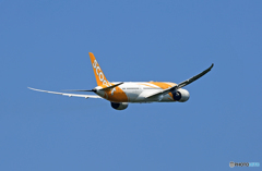 離陸 scoot 787-9 9V-OJE